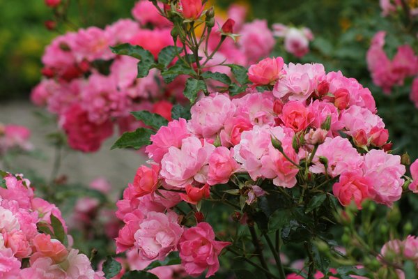 Le journal intime idéal pour filles de 10 ans : conseils et idées